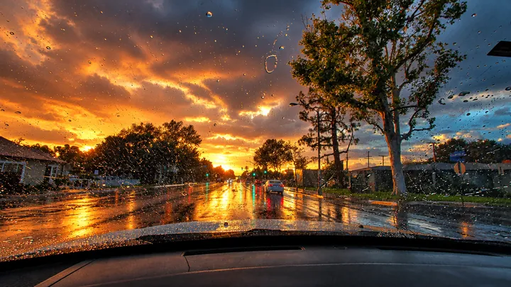 Rainy sunset drive under tall trees in Fullerton with water standing on the road
