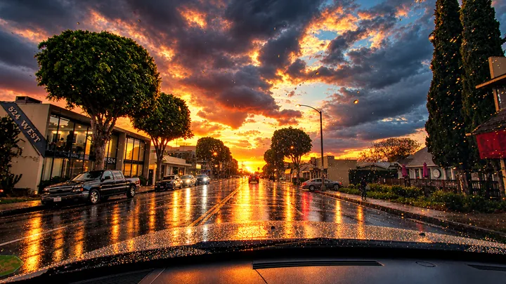 Rain-soaked, tree-lined street at sunset in Fullerton with headlights reflecting on the road