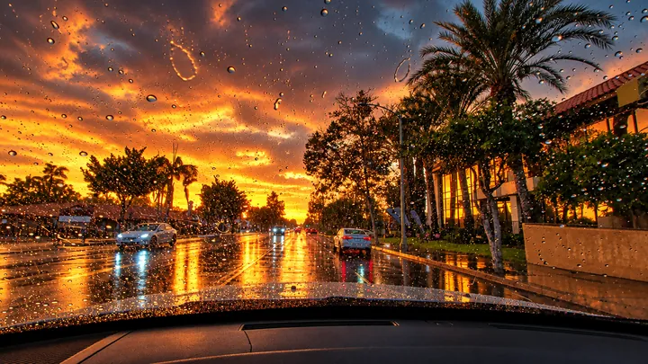 Wet road reflecting sunset light past palm trees in Fullerton, with rain on the windshield